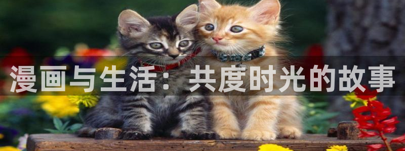 歪歪漫画一汗汗漫画：漫画与生活：共度时光的故事