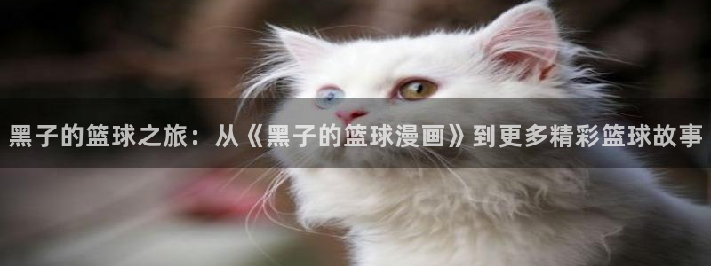 mm的义务漫画歪歪漫画：黑子的篮球之旅：从《黑子的篮球漫画》到更多精彩篮球故事